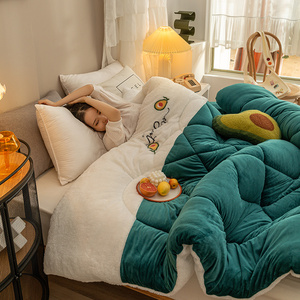 Nhà Sản Xuất Cung Cấp Tùy Chỉnh In Chắp Vá Quilting Nhung Lông Cừu Mền - Product Image 2