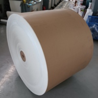 Papel para Copiar de Oficina, Blanco, en Rollo, para Impresión Offset A4, de Fabricante de Papel
