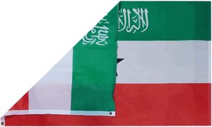 Logo promozionale personalizzato della fabbrica 3x5 ft 100% poliestere durevole all'aperto stile volante digitale stampato bandiera in alluminio - Product Image 3