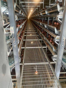Promotion : Nouvelle Cage à Poules Pondeuses Automatique <span class=keywords><strong>en</strong></span> Treillis d'Acier Galvanisé Type H – Cage Avicole pour Élevage de Poulets et Animaux de Ferme - Product Image 4