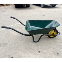 Carretilla de Metal WB3800 de Alta Resistencia con Capacidad de Carga de 120 kg para Uso en Construcción, Personalizable OEM