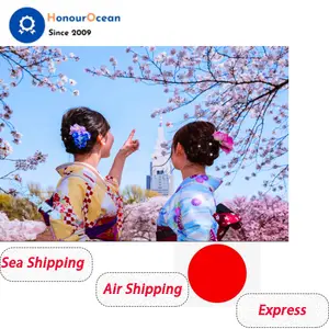 深センエクスプレスサービスとDHL国際水上運輸価格は日本に中国郵政航空小包を納品する