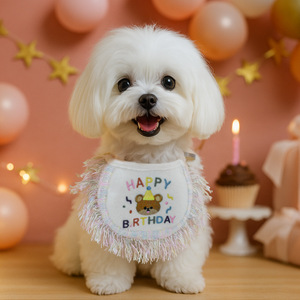 Bandanas pour fête d'anniversaire d'animaux de compagnie, motif ours, ensemble mignon de bavoir et chapeau pour chien, anniversaire de chien - Product Image 3