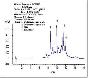 Colonna a Scambio Ionico Anionico Non Porosa HPLC per Purificazione di Proteine e Anticorpi Monoclonali - Product Image 3