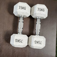 Ensembles d'haltères en caoutchouc à tête ronde personnalisés en gros, haltères en caoutchouc de 2,5 à 5 kg pour la musculation