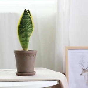 Haute qualité maison Gadern décoration succulente planteur <span class=keywords><strong>Pot</strong></span> <span class=keywords><strong>extérieur</strong></span> intérieur décoratif jardin balcon <span class=keywords><strong>terre</strong></span> <span class=keywords><strong>cuite</strong></span> Pots de fleurs - Product Image 5