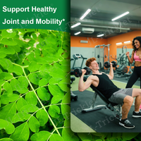 Julong grosir kapsul Moringa organik energi Herbal dan kekebalan mendukung kapsul ekstrak daun Moringa berbasis tanaman Non GMO