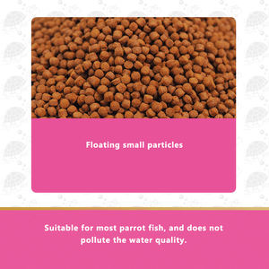 Inch Gouden Visvoer Bloedpapegaai Voegt Rode Kleur Toe En Verdient Een Fortuin In De Groothandel In Visvoer - Product Image 5