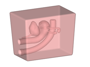 Modello Compatto per Addestramento ad Anatomia dell'Utero con Ultrasuoni, Simulatore Ginecologico con Ovario e Tromba di Fallope Inclusi - Product Image 5
