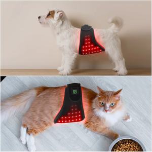 Appareil de thérapie par lumière rouge et bleue pour chiens et animaux de compagnie, lampe infrarouge réutilisable, instrument vétérinaire anti-inflammatoire - Product Image 2