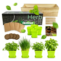 Kit Pemula Kebun Herbal Dalam Ruangan untuk Menanam 4 Jenis Bibit Herbal dengan Desain Modern dari Bambu Alami untuk Penggunaan di Rumah