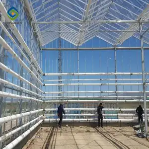 Sainpoly-invernadero de vidrio doble, Kit de construcción australiana de invernadero, precio competitivo, multispan