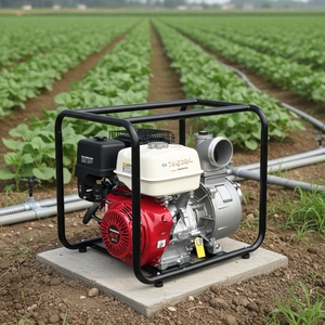 Pompa Portatile per Acqua Pulita da 4 Pollici, Prevalenza 38m, Alta Portata, Alimentata da <span class=keywords><strong>Motore</strong></span> <span class=keywords><strong>Honda</strong></span> GX390 - Product Image 1