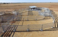 Fabrication en usine de cour de bétail galvanisée bon marché clôture de cheval corral de bétail en métal galvanisé cour de ferme d'élevage