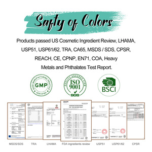 Private label 12 colori cosmetici donna <span class=keywords><strong>trucco</strong></span> impermeabile con pennello ombretto palete - Product Image 6