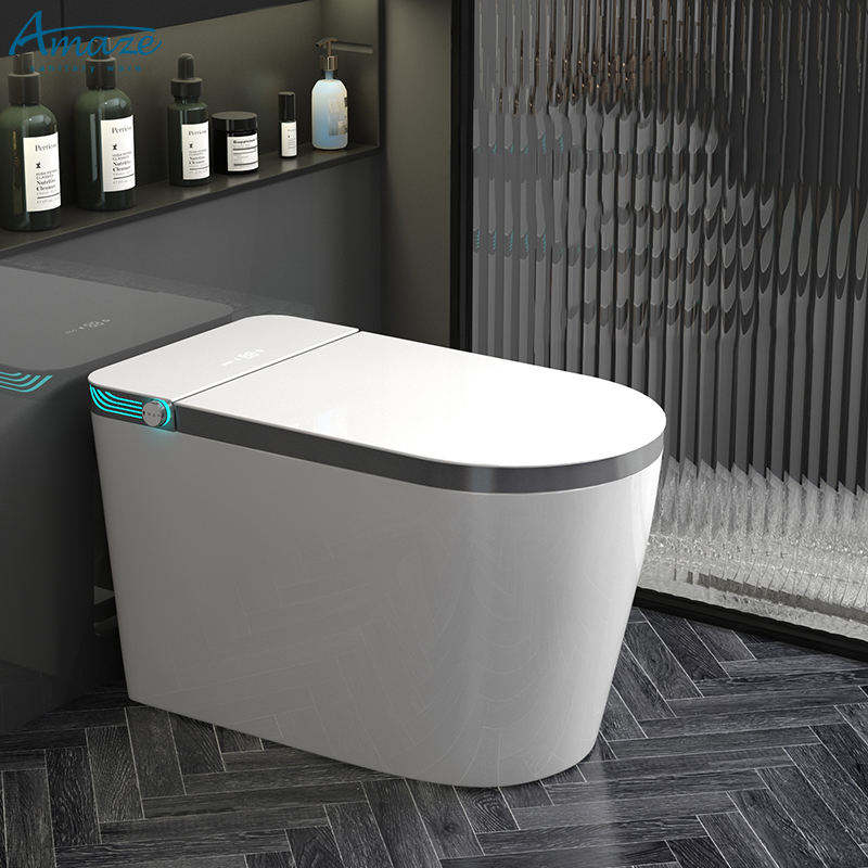 smart toilet