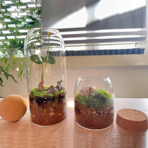 OEM Minimaliste Cylindre Vase Terrarium Plante Hydroponique Moss Terrarium Home Decor Tabletop DIY Forest Planter Glass Jar Cork Lid - Product Image 2
