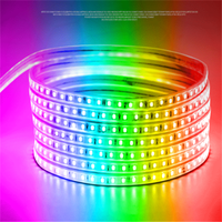 240v 230v 110v 220v Rgb 5050 bande lumineuse Led à changement de couleur avec télécommande