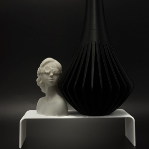 Estatua de Busto de Mujer Impresa en 3D de Alta Calidad, Personalizada OEM, Marca WANCAI, Regalos de Arte para Interiores y Exteriores, Modelo Preconstruido para Aficionados, Edades 8+ - Product Image 6