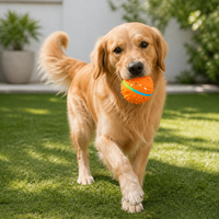 DINGLONG DL-36 Nouveau jouet pour chien classique RGB multicolore rechargeable par USB C, éco-responsable, balle LED intelligente interactive E-TPU automatique