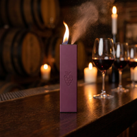 Briquet USB rechargeable Turbo à livraison rapide, avec logo personnalisé imprimé, étui à cigarettes à flamme rapide, accessoires pour fumeurs