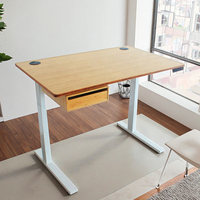 Meubles de bureau écologiques, table de bureau en bambou massif, bureau debout en bambou, ensemble complet de bureau en bambou, fabrication en usine