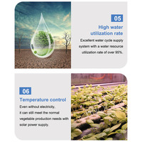 Ferme hydroponique de fraises et de laitues HNOC Strawberry Wheat Grow 20 pieds 40 pieds dans un conteneur d'expédition