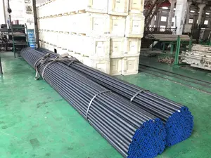 Manufacturers Suppliers 2CrMo195 ASTM A213 Gr T5/T9 Alloy Steel Seamless Tubes Alloy Steel WN 1.7362 SMLS Tubes