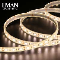Bande lumineuse LED flexible IP65 haute luminosité, étanche, découpable, largeur 10 mm, DC12V/24V, 5050, 60 LED, CRI élevé