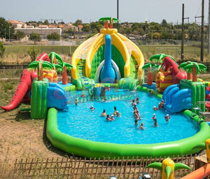 Tobogán Acuático Inflable <span class=keywords><strong>Grande</strong></span> con Piscina Combinada, Cachino, Juego de Agua para Niños - Product Image 6