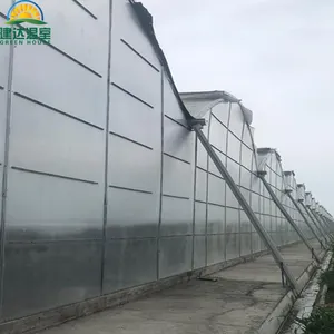 中国制造热卖侧聚碳酸酯面板和屋顶PO薄膜塑料农业温室，带水产养殖种植系统SUNSGH温室