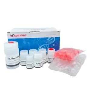 Kit de dosage quantitatif des protéines totales produits chimiques biotechnologie