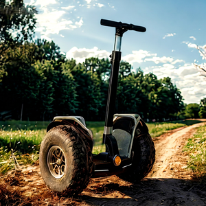 Productos Innovadores 2025, Scooter Todoterreno para Adultos de Dos Ruedas, 3000w, Neumático Grueso de 19 Pulgadas, SU-006L, con Capacidad de Carga de 150 kg y Aplicación - Product Image 1