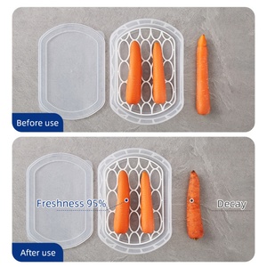 Modern Designed Kitchen Accessories Retractable Fridge Shelf Holder Refrigerator Drain Storage Box Pull Bins for Food Storage - Product Image 4