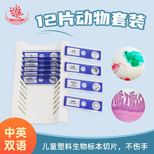 สไลด์ไมโครสโคป, ตัวอย่างสัตว์, ชุดสีน้ำเงิน, 12 สไลด์, การทดลองทางวิทยาศาสตร์, วิทยาศาสตร์ยอดนิยม, สไลด์พลาสติกสำหรับเด็ก - Product Image 5