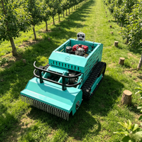 Robot tondeuse à gazon chenillée télécommandée 800 mm, moteur diesel 4 temps, certifié CE EPA, pour vignoble, ferme, champ, bricolage