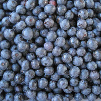 IQF Diepvries Blauwe Bessen Hele Stuks Fabrikant Bulk Diepvries Blauwe Bessen BRC HACCP Gecertificeerd Diepvries Bessen voor Bakkerij Smoothies Yoghurt