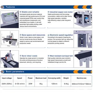 DeMinM100 Hoge Snelheid Schrijfmachine Afdrukken Logo Datum Batchnummer Tellen Mini Transportband Verpakking Automatische Inkjet Printer