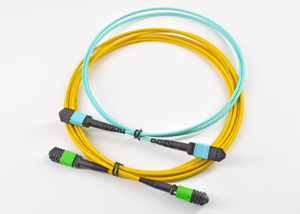 สายไฟเบอร์ออปติกแบบ MTP/MPO 16 คอร์ แบบ Single Multimode สำหรับเชื่อมต่อ 2*8 คอร์ 10 กิกะบิต สายส่งสัญญาณพิเศษ AI 5G/6G สำหรับการสื่อสารข้อมูล - Product Image 5