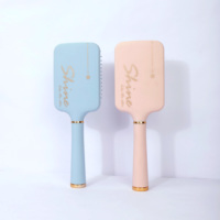 Brosse à cheveux de massage du cuir chevelu avec imprimé INS et grattoir de nettoyage.