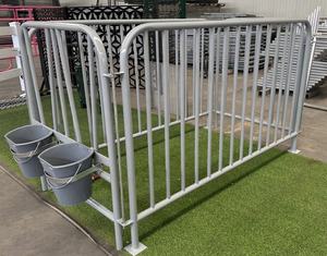 Équipement d'élevage Bovins Boîte Veau Huche Veau Maison Cage - Product Image 3