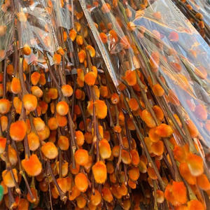 K-0484 Decoración para el Hogar para el Festival de Año Nuevo, <span class=keywords><strong>Salix</strong></span> <span class=keywords><strong>Gracilistyla</strong></span> Individual, Flor Seca Natural Preservada, Sauce Plateado Blanco - Product Image 3