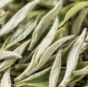 El Sabor al Inicio Es Dulce Como el Miel y Refrescante Como la Rocío de la Mañana - Product Image 1