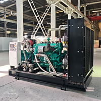 Groupe de production thermique industrielle (GPTI) au gaz naturel et à biomasse, production de vapeur de 500 kW, démarrage automatique/à distance, courant continu, pour processus industriels