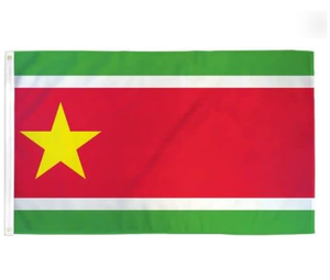 Bandera Dominicana Personalizada al por Mayor, Impresión a una Cara, Resistente a la Decoloración, con 2 Ojales en la Manga Izquierda - Product Image 4