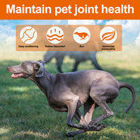 Compléments alimentaires pour la santé des animaux de compagnie Oimmal OEM, soutien des hanches et des articulations, friandises molles pour chiens avec glucosamine