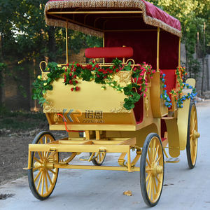 Calèche électrique de style européen en acier de haute qualité pour mariages, capacité 4-6 personnes - Product Image 5