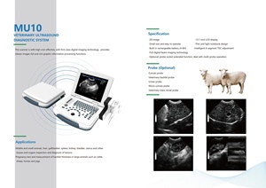 Meilleur prix pour un échographe vétérinaire portable DMSU06 de haute qualité, noir et blanc, pour animaux de grande taille et élevages - Product Image 5