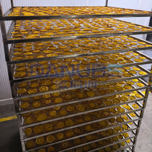 New Technology Fruit Box Type Dryer Mango Banana Orange Drying Machine Orange Dehydrator Equipment - Product Image 4