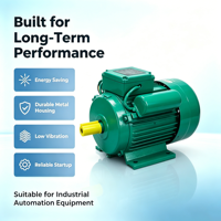 Moteur asynchrone monophasé série YL 220V 50Hz, efficacité IE2, économie d'énergie, haute performance, automatisation industrielle